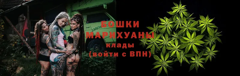 Бошки марихуана SATIVA & INDICA  Подпорожье 